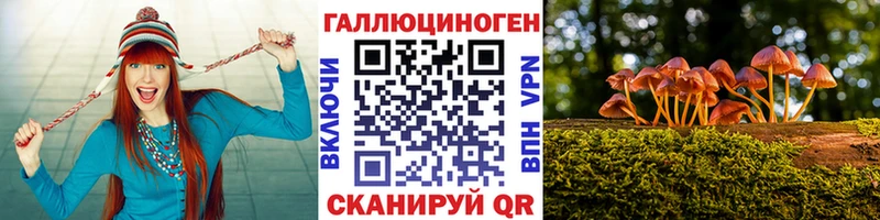 закладка  Прокопьевск  Псилоцибиновые грибы Cubensis 