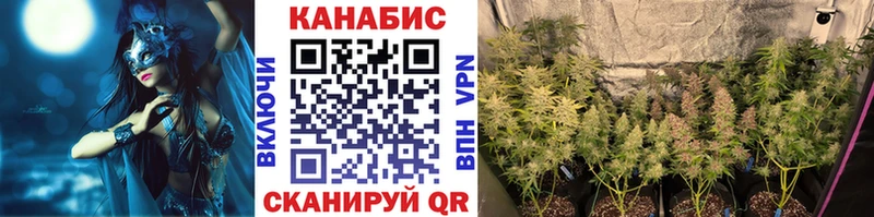 купить закладку  Прокопьевск  Канабис White Widow 